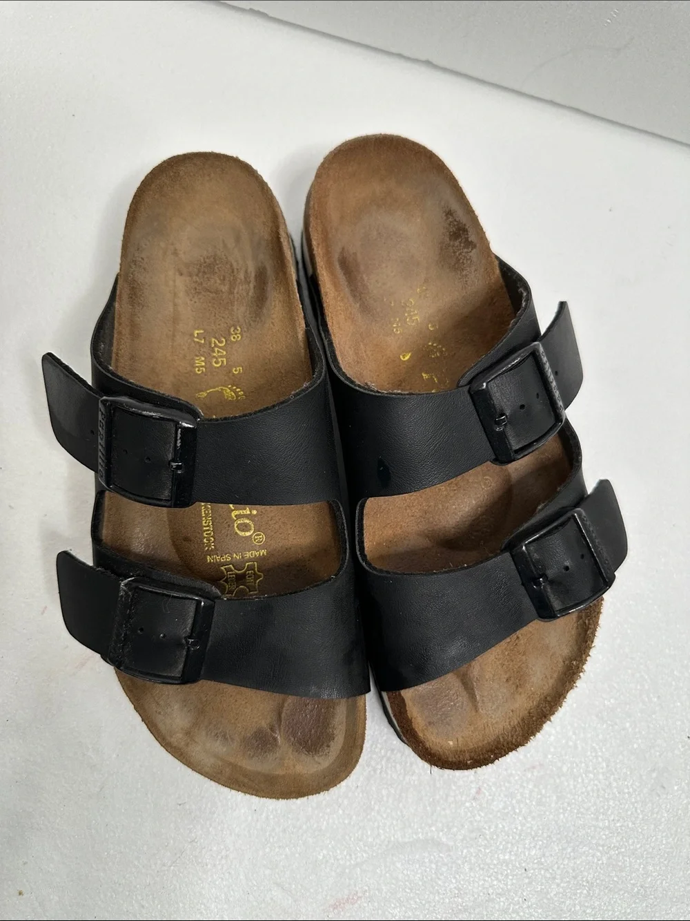 Papillio classic two